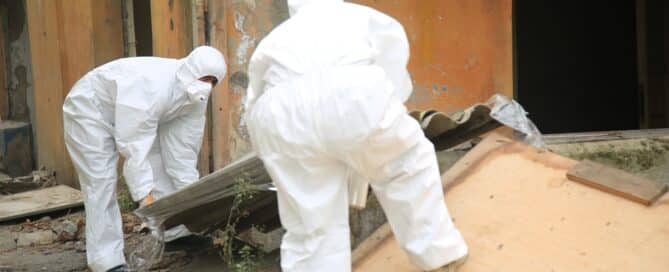 Professional Asbestos Removal Worker